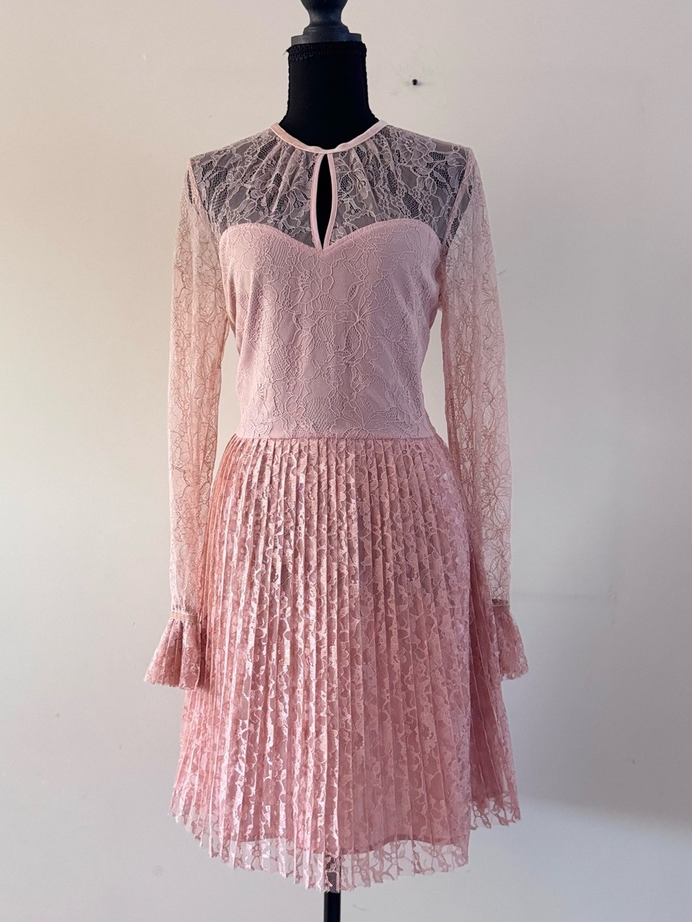H&M Delicate Pink Lace Pleated Dress